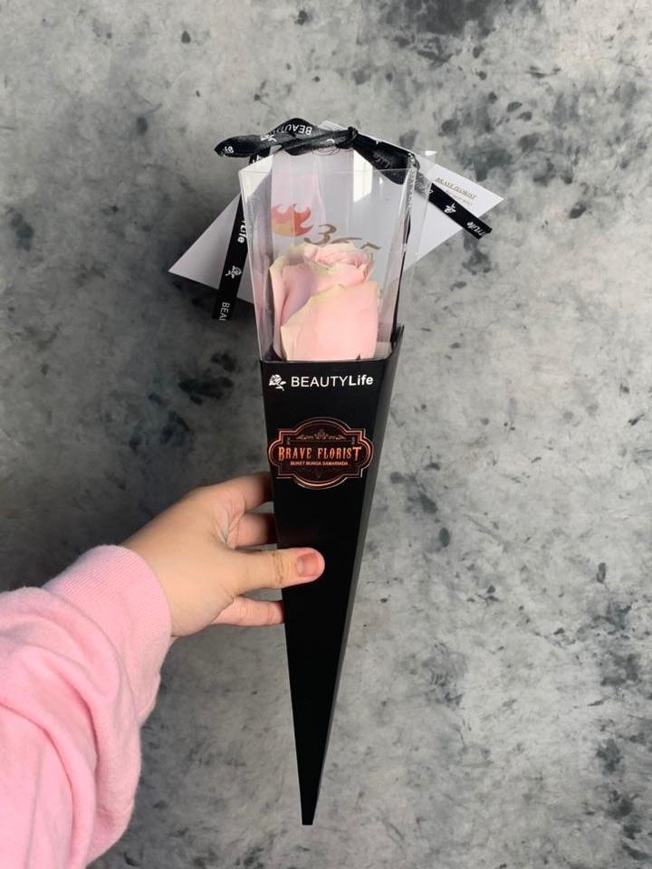 A Single Rose